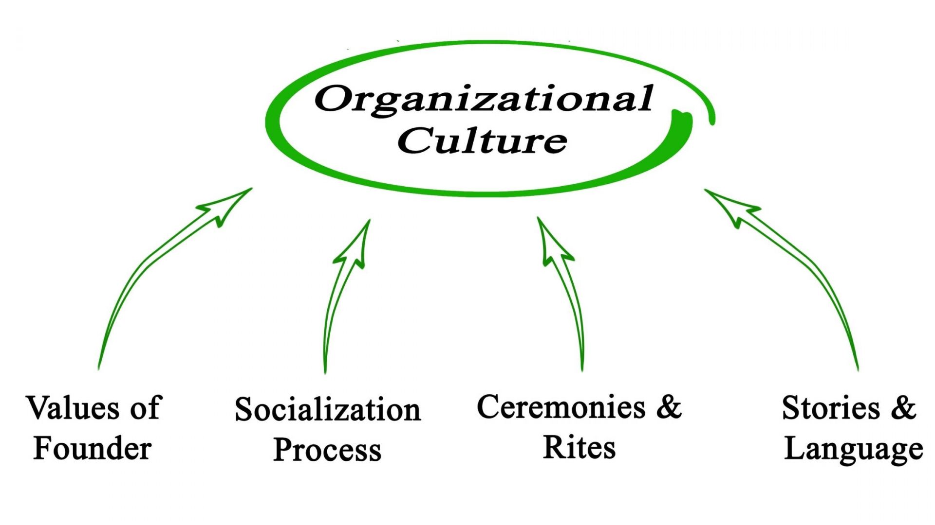 organizational plan