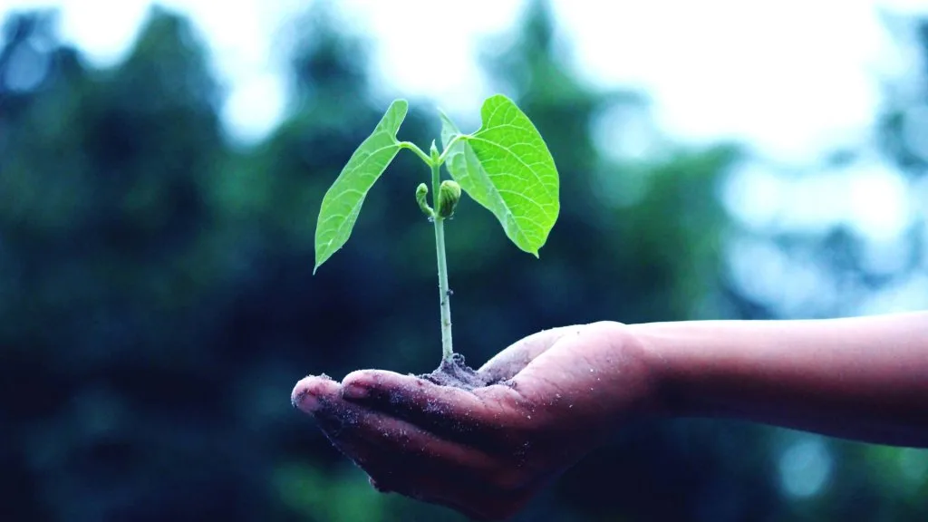 growing-startups