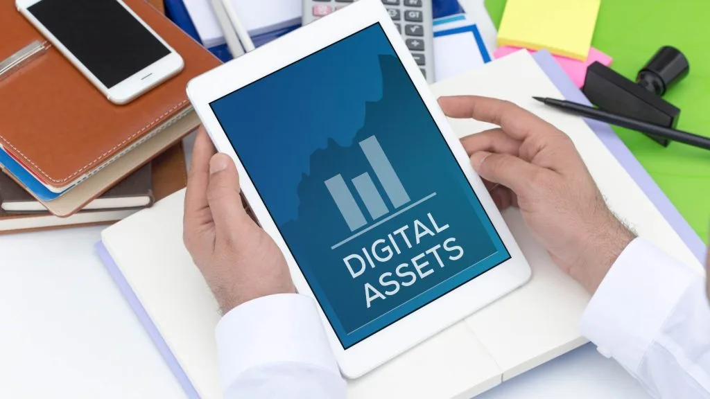What are digital assets mean?